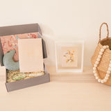 Gift box, printed guide and framed sign illustration on a light wooden shelf