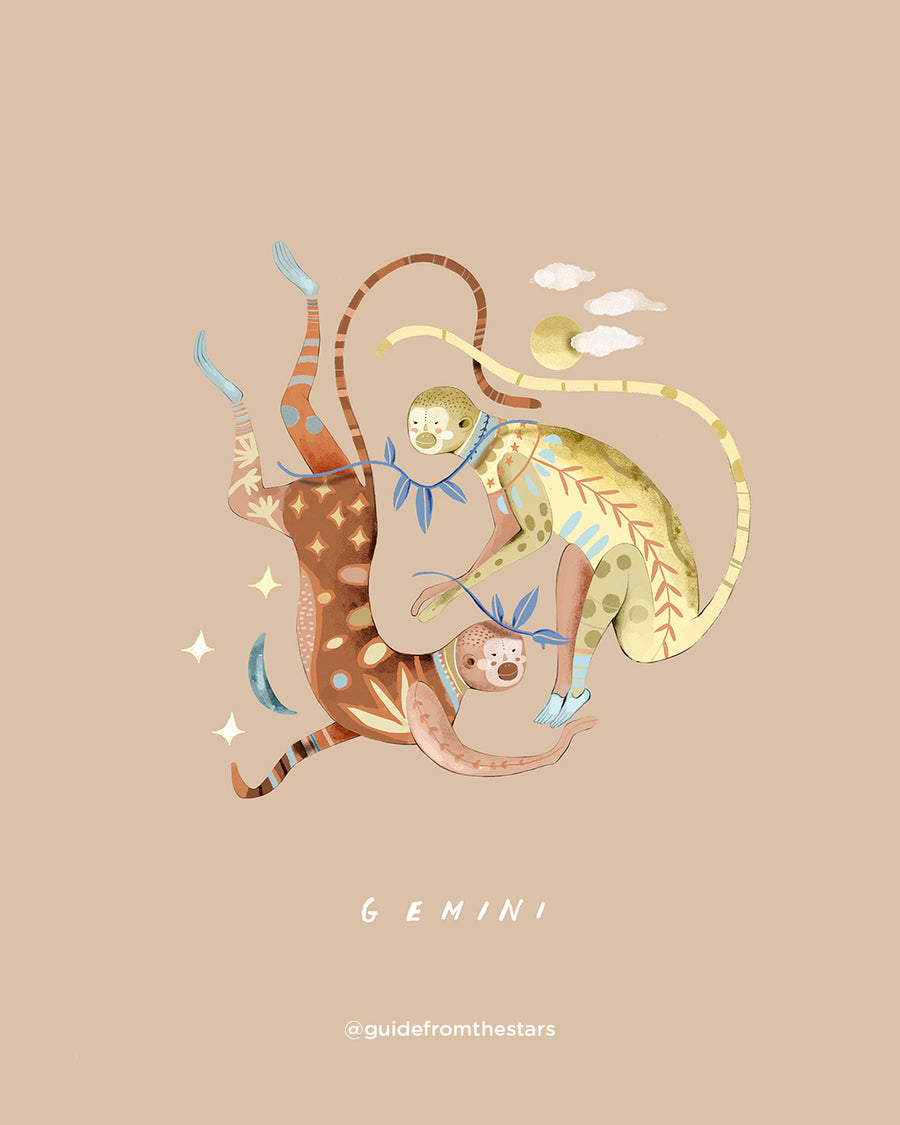 Gemini illustration